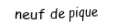 Je suis une carte à jouer. Je viens  après le huit, je suis noir mais pas de trefle.